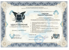 Сертификат Садыкова Камила Рафаэльевна